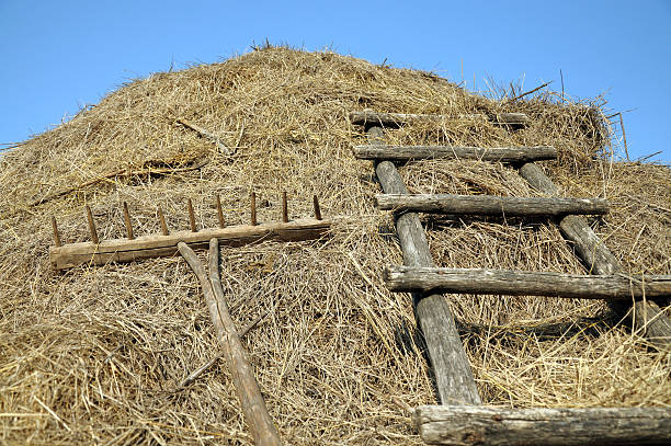 istock Rakes and stairs to the haystack 511947086