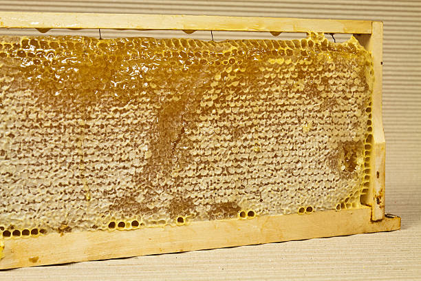 istock Waxed honeycomb with honey 511948751