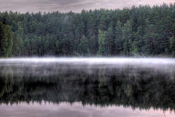 istock Mystical fog over the lake 511950251