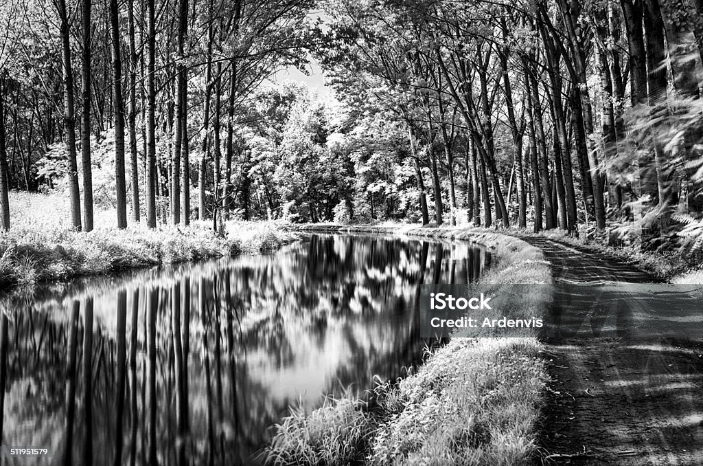 Lunga esposizione a raggi infrarossi Foresta riflette nel fiume d'acqua - Foto stock royalty-free di Albero