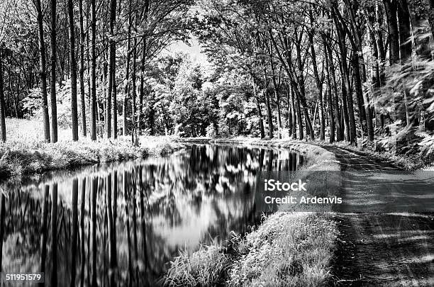 Lunga Esposizione A Raggi Infrarossi Foresta Riflette Nel Fiume Dacqua - Fotografie stock e altre immagini di Albero