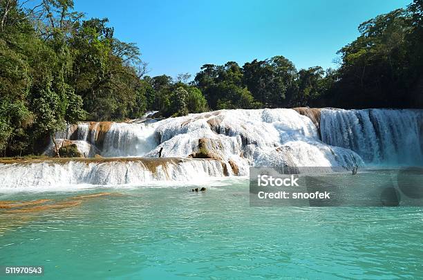 Waterfal Agua Azul Chiapas Mexico Stock Photo - Download Image Now - Blue, Chiapas, Forest