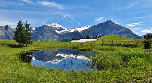 Spitzhorn and pond stock photo