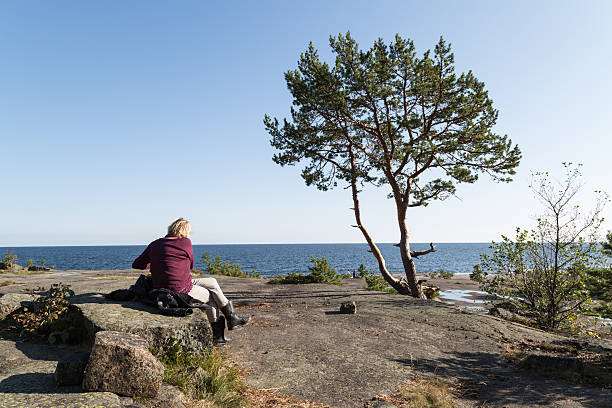 A piece of coast line called Rotsidan at Hoega kusten, Sweden