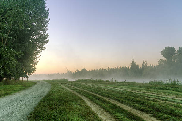 istock Path by the lake in the misty morning in natural HDR. 511973021