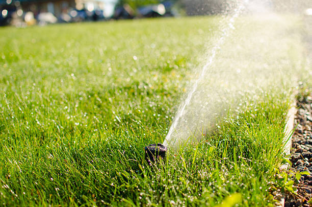istock sprinkler on the lawn 511973091