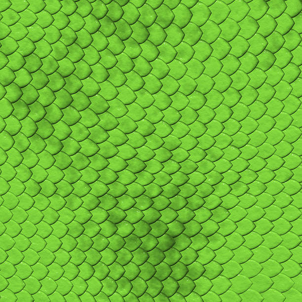 peau de serpent - leather green hide textured effect photos et images de collection