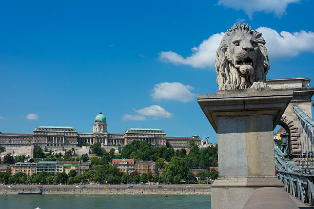 鎖橋ブダペスト、ハンガリー旧宮殿の背景 - chain bridge budapest bridge lion ストックフォトと画像