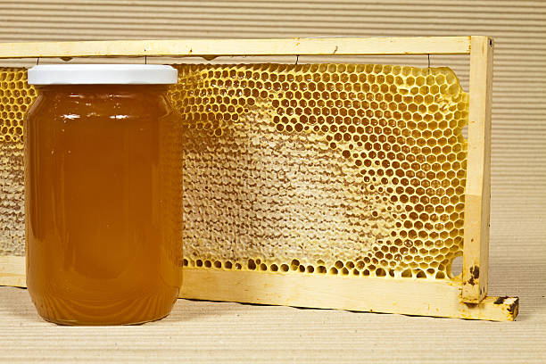 istock Waxed honeycomb with honey 511976825