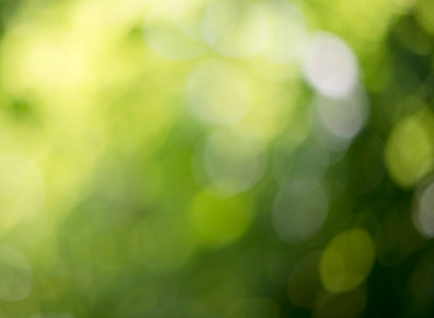 istock Bokeh of nature background 511981428