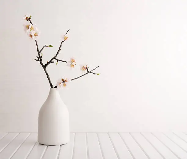 Vase with cherry blossom on wooden background