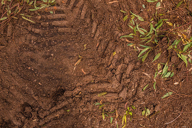 istock Texture of brown mud with tractor tyre tracks 511984310