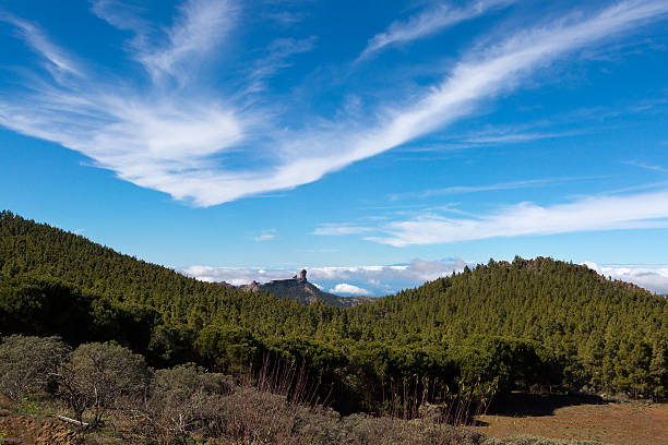 vista del roque nublo con cielo blu, isole canarie, spagna - mountain mountain range grand canary escrima foto e immagini stock