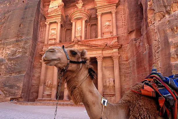 Photo of Tomb and camel in Petra, Jordan