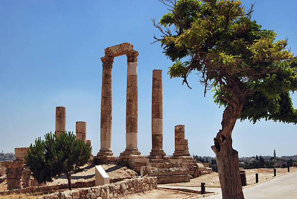 tempio romano di ercole di aman, giordania - temple of heracles foto e immagini stock