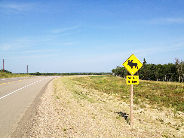 istock Moose crossing sign Saskatchewan highway 511988312