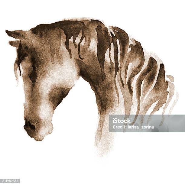 Wet Watercolor Horse Head Stock Illustration - Download Image Now - Horse, Watercolor Painting, Watercolor Paints