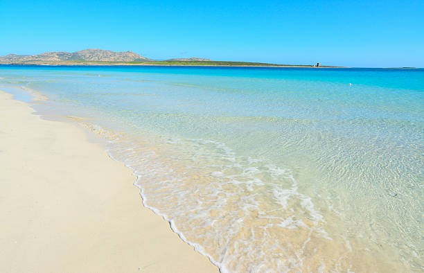 istock La Pelosa beach on a clear day 511991734
