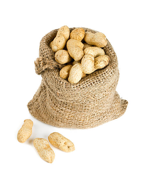 istock peanuts in a miniature burlap bag isolated on white 511996220