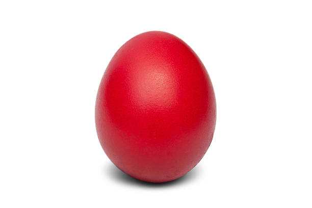 ovo vermelho isolado num branco. - easter eggs red imagens e fotografias de stock