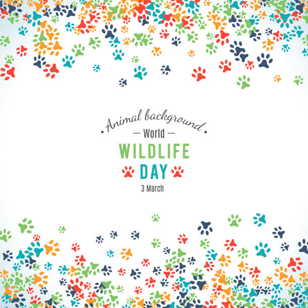 stockillustraties, clipart, cartoons en iconen met vector background of world wildlife day - dierendag