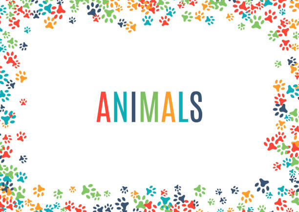 ilustraciones, imágenes clip art, dibujos animados e iconos de stock de colorido animal huella ornamento de frontera aislado sobre fondo blanco - dedo del pie animal