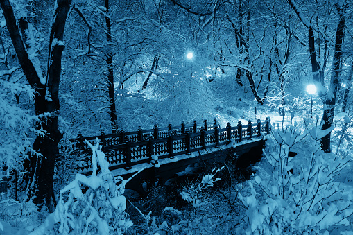 Central Park winter bridge in midtown Manhattan New York City