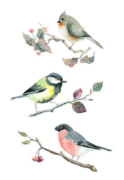 istock Set of watercolor little birds. 511998748