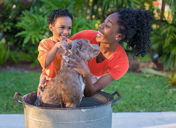istock Giving the dog a bath and having fun 511998944