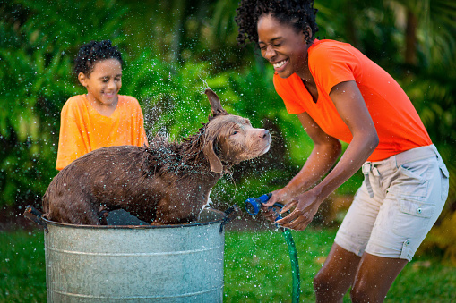 Mother and son giving their dog a god bath