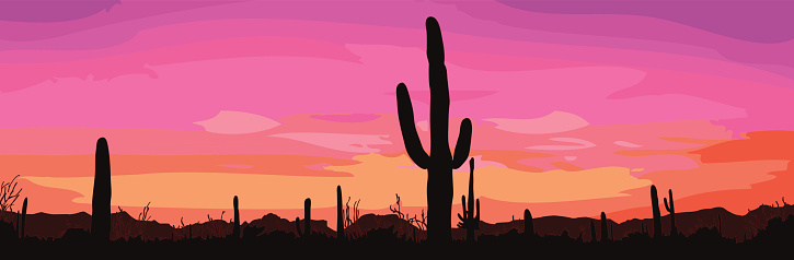 Mexican desert sunset with cactus. Vector illustration.