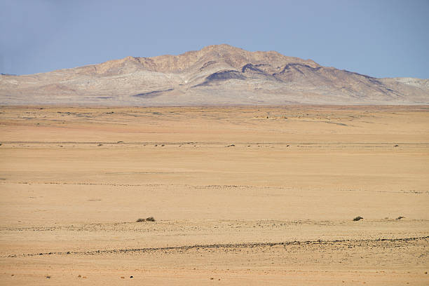 istock Namib Naukluft National Park, Namibia 512002600
