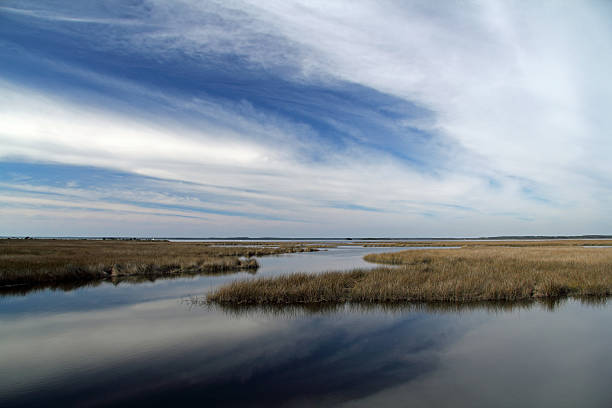istock St. Marks National Wildlife Refuge 512004064