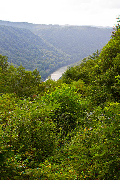 istock The New River, West Virginia through Trees 512009457