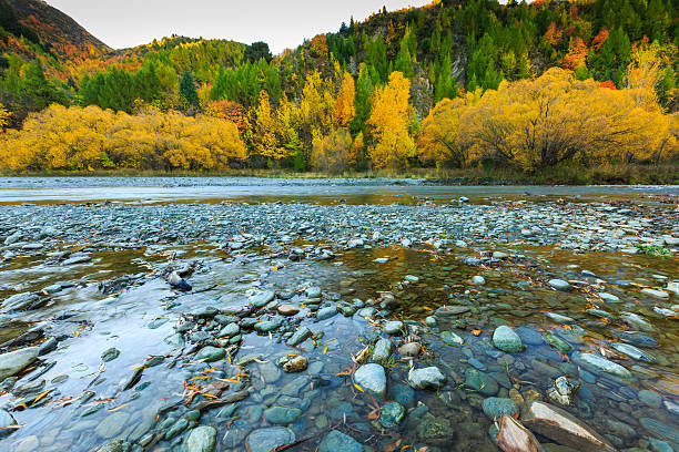 istock Golden Autumn in Arrowtown and river 512012969