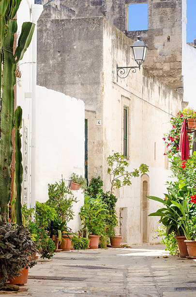 istock Apulia, Polignano a Mare alley 512013285