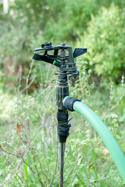 istock Sprinkler head close up over the green grass 512029528
