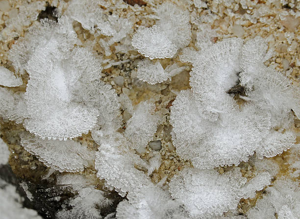 istock Small white ice crystals flowers and leaves forming on ground 512030272