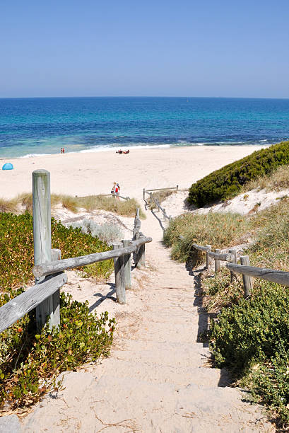 Path to Cottesloe Beach Cottesloe,WA,Australia-January 6,2016: Dune path to Cottesloe Beach with white sands, people and the Indian Ocean waters in Cottesloe, Western Australia. cottesloe beach stock pictures, royalty-free photos & images
