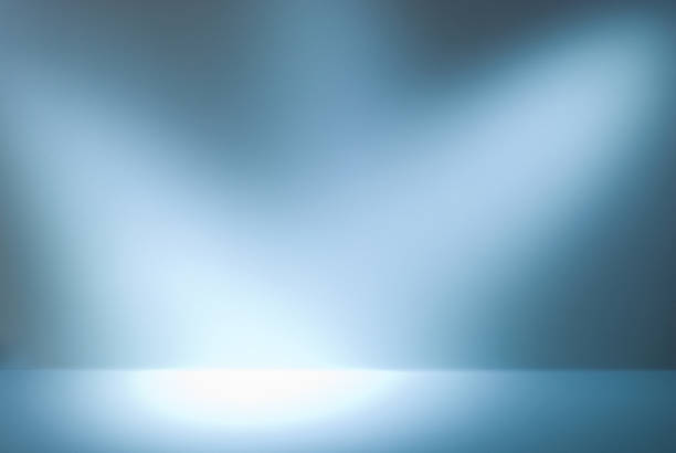 istock Empty gallery wall with lights for images and advertisement 512031772