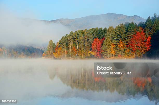 Autumn Foliage Stock Photo - Download Image Now - Autumn, Colors, Fog
