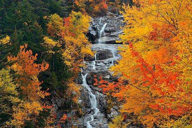 istock Colorful Autumn creek 512032886