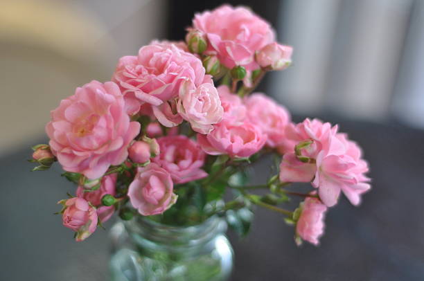 istock Pink roses in a glass vase 512034040