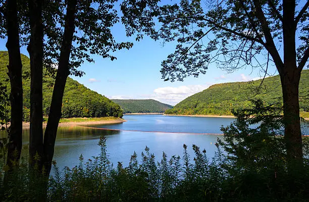 Photo of Allegheny National Forest