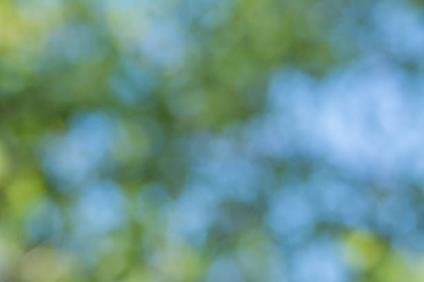 istock Blurred of nature outdoor bokeh 512037726