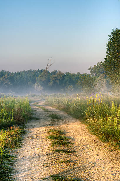 istock Pathway on the foggy morning. 512042409