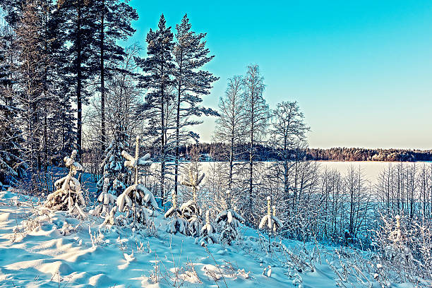 istock Forest lake in Sunny winter day 512043306