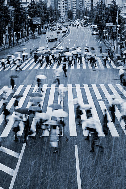 chuvoso trabalhadores na faixa de pedestres - umbrella parasol rain rush hour - fotografias e filmes do acervo