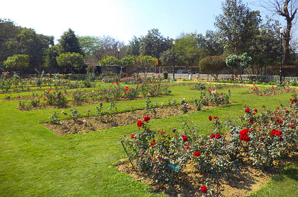 istock Rose Garden, New Delhi, India 512043948