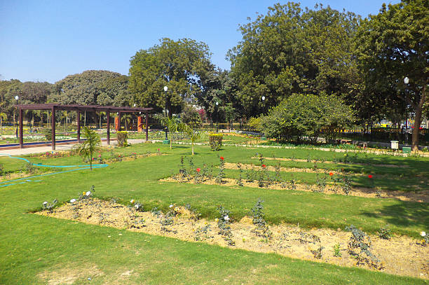 istock Rose Garden, New Delhi, India 512044744